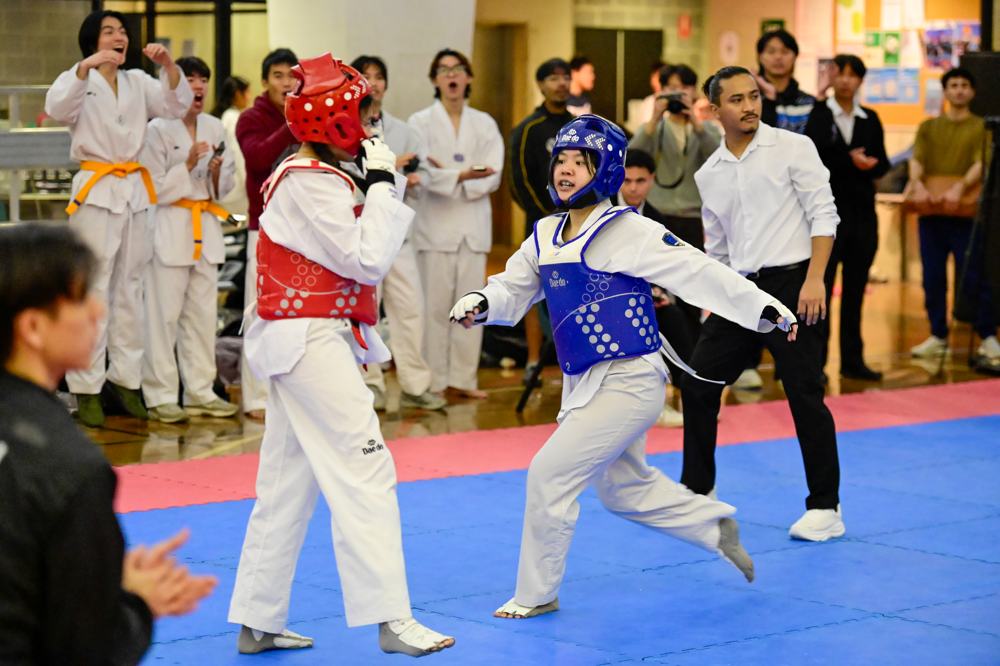 TDog Taekwondo competition G592