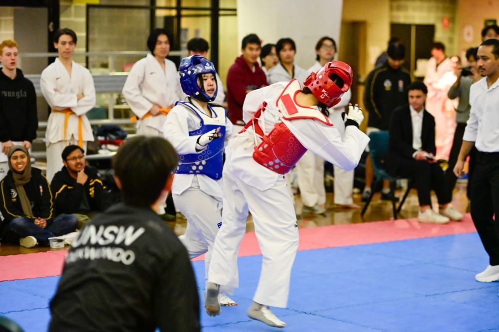 TDog Taekwondo competition G593