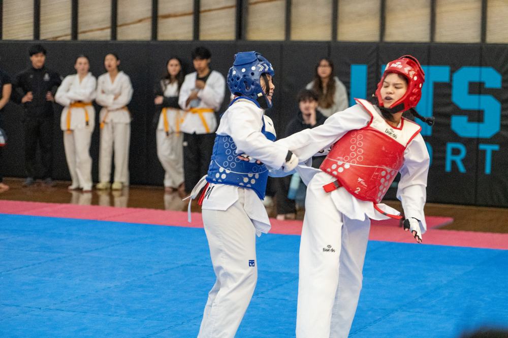TDog Taekwondo competition G594