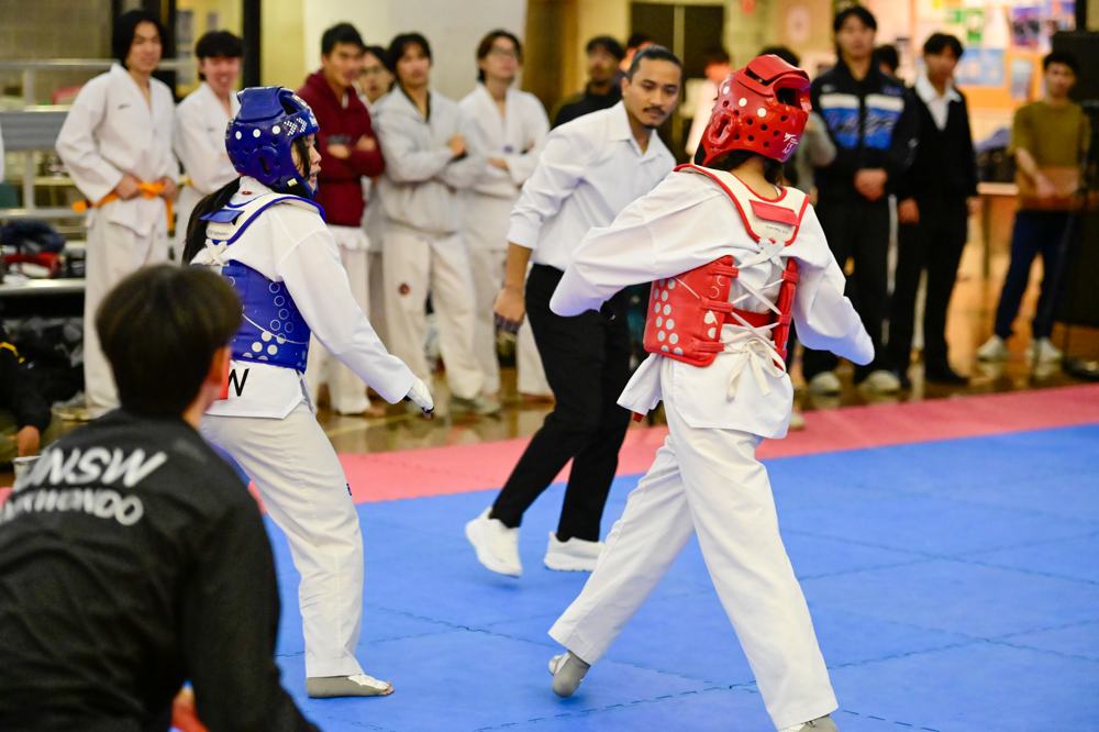 TDog Taekwondo competition G595