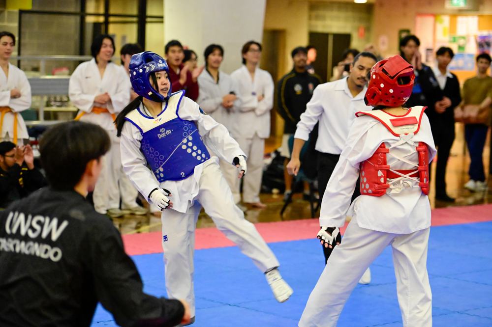 TDog Taekwondo competition G596