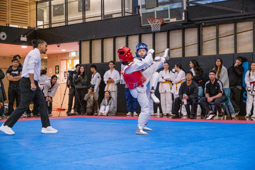 TDog Taekwondo competition G597
