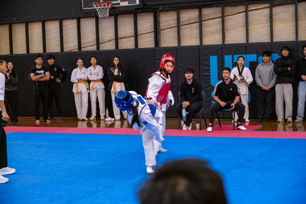 TDog Taekwondo competition G598