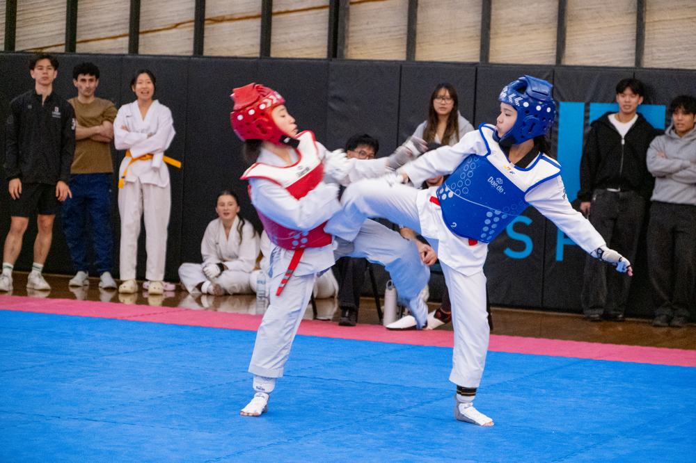 TDog Taekwondo competition G601