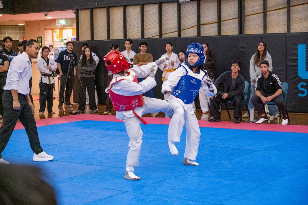 TDog Taekwondo competition G602