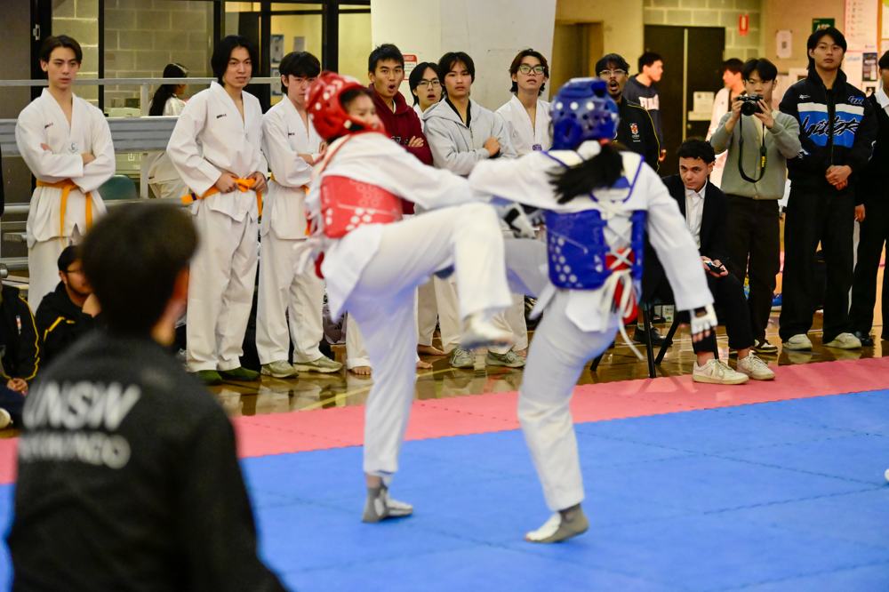 TDog Taekwondo competition G603