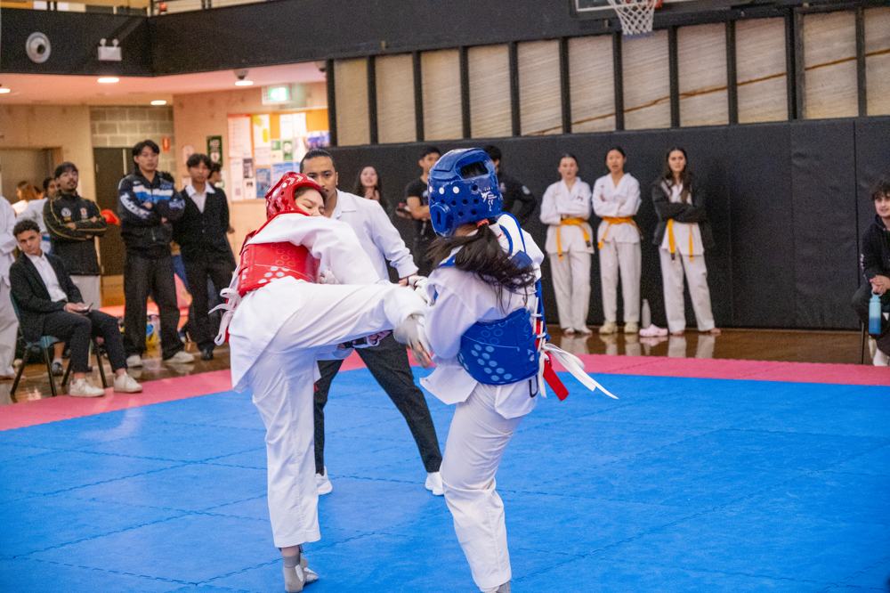 TDog Taekwondo competition G604