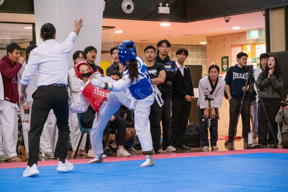 TDog Taekwondo competition G605