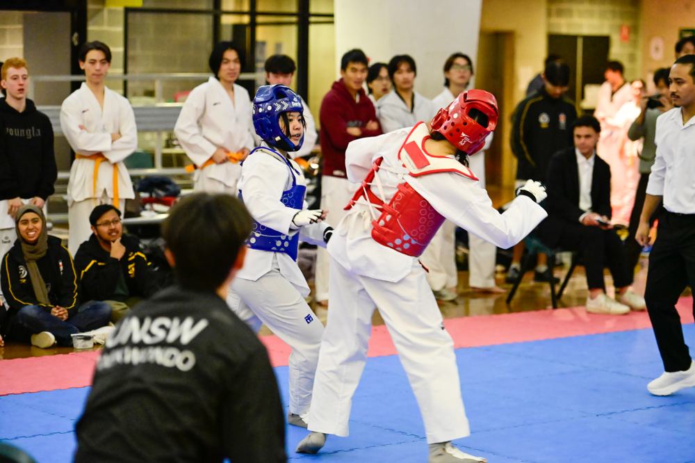 TDog Taekwondo competition G606
