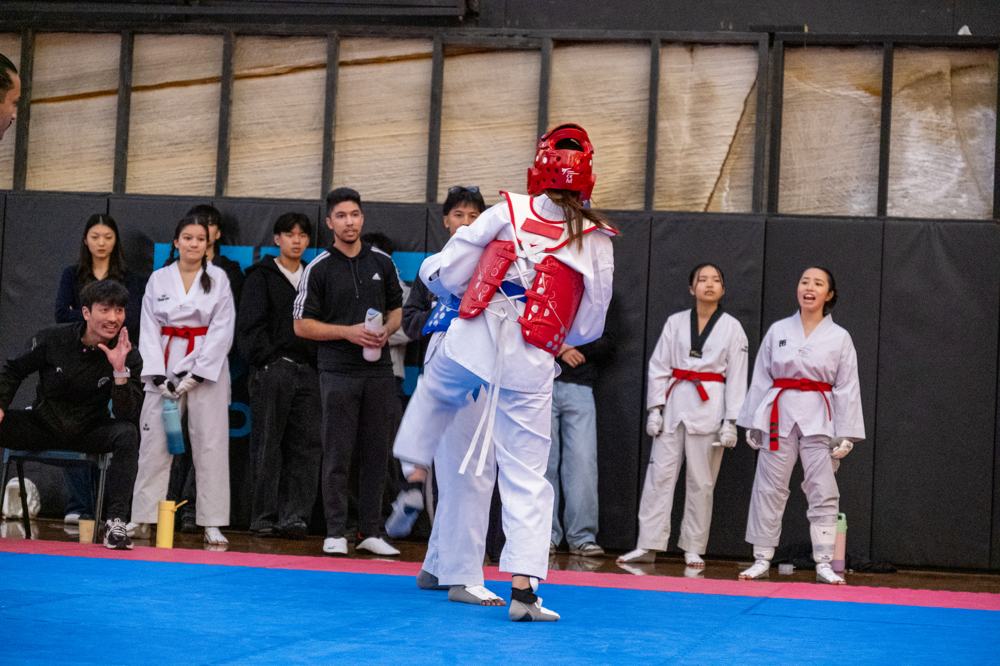 TDog Taekwondo competition G608