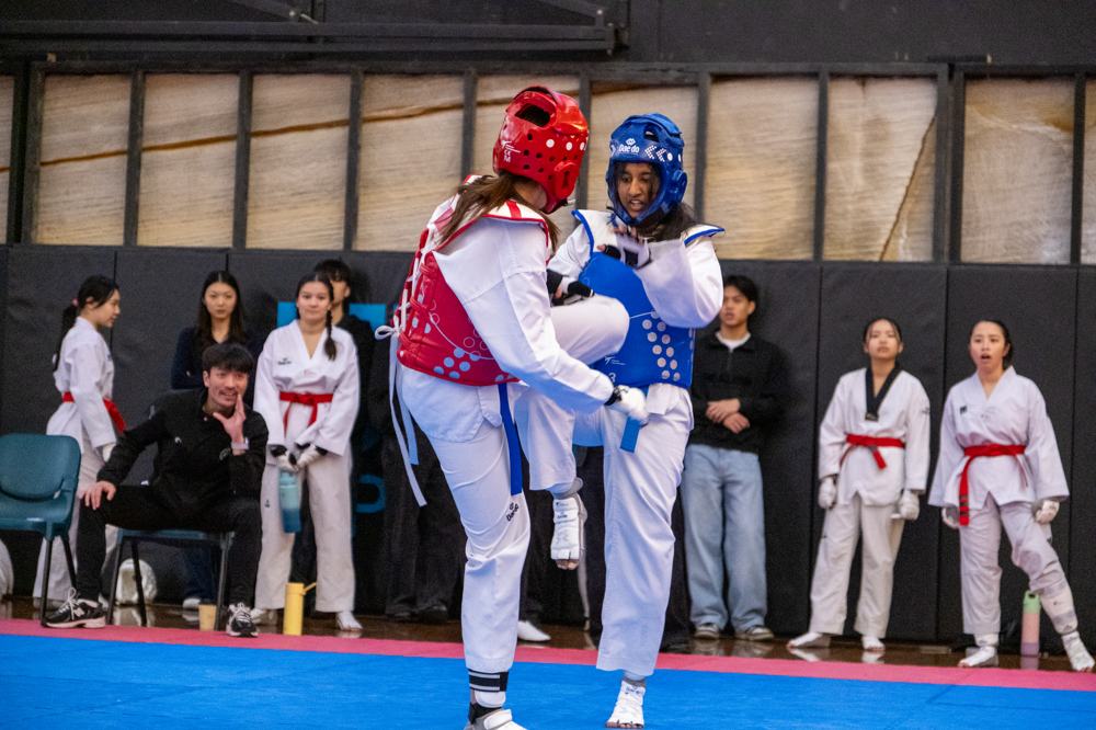 TDog Taekwondo competition G609