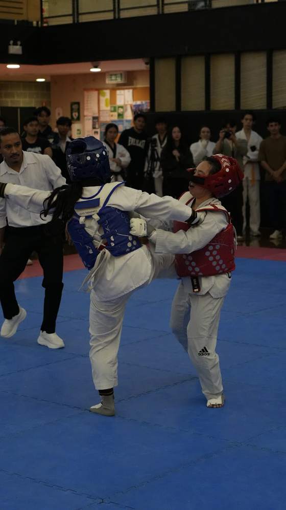 TDog Taekwondo competition G61