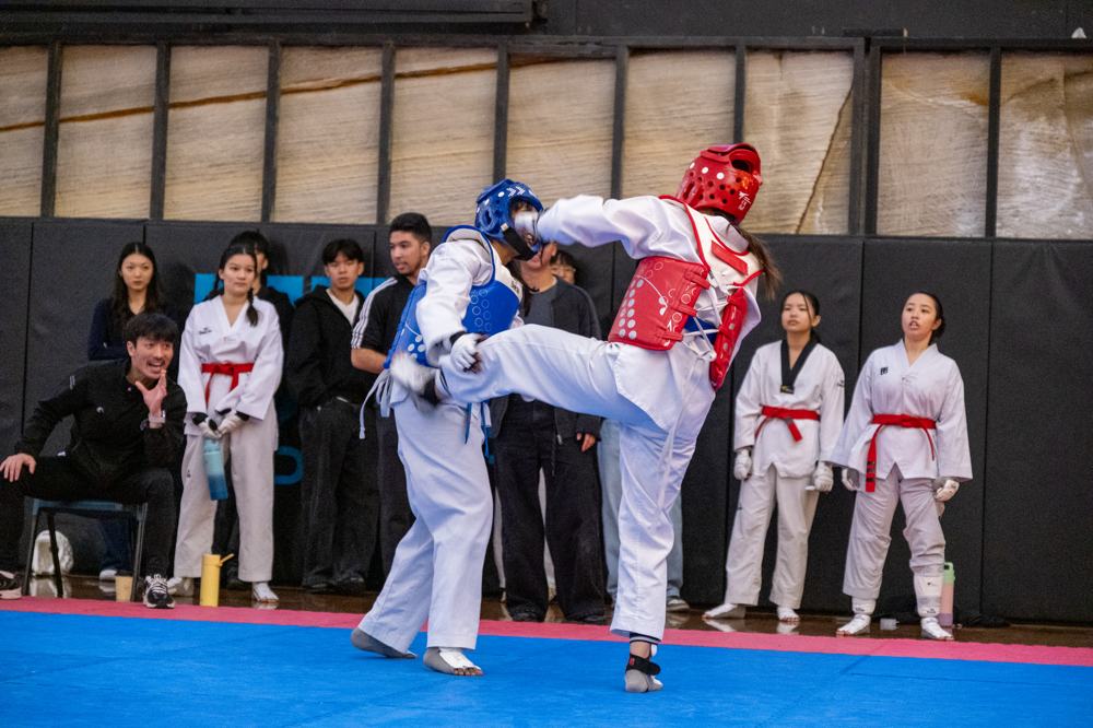 TDog Taekwondo competition G610