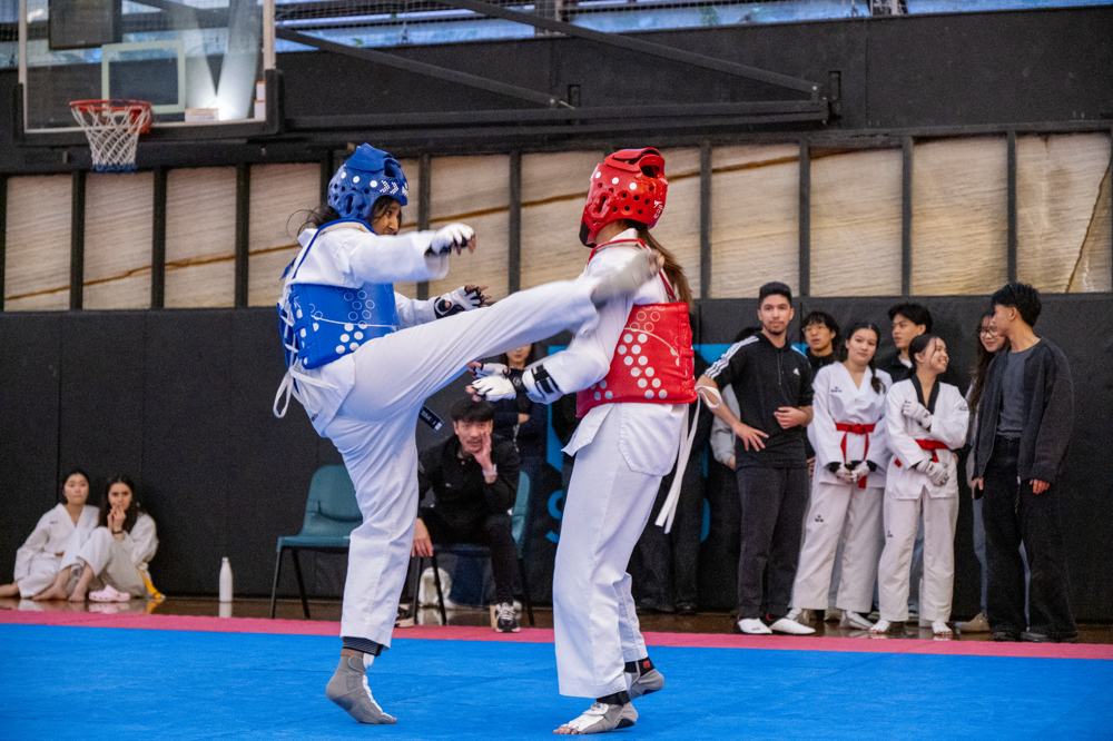 TDog Taekwondo competition G611
