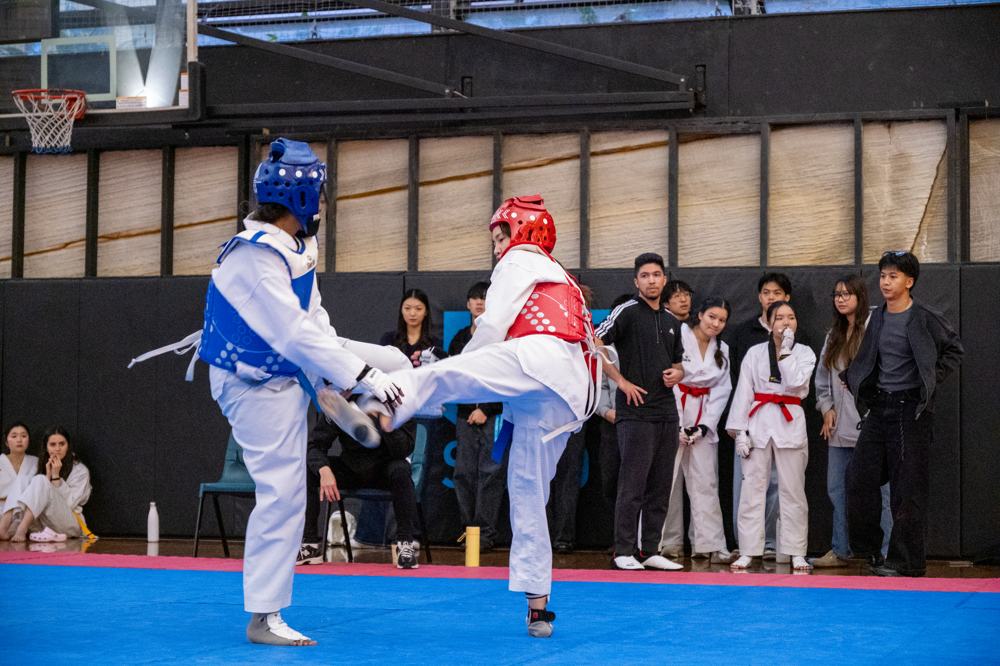 TDog Taekwondo competition G612