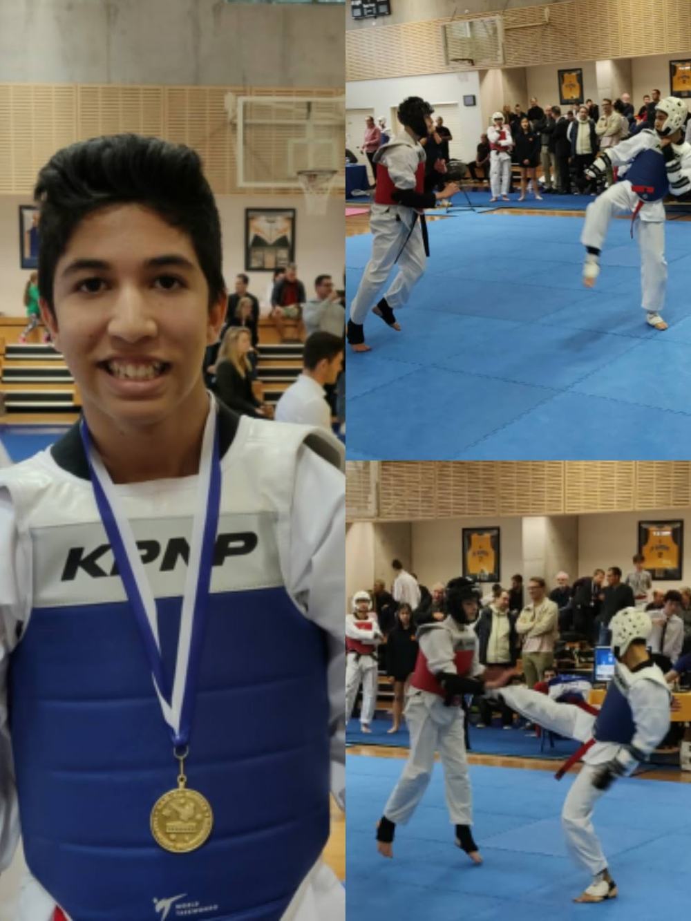 TDog Taekwondo competition G62