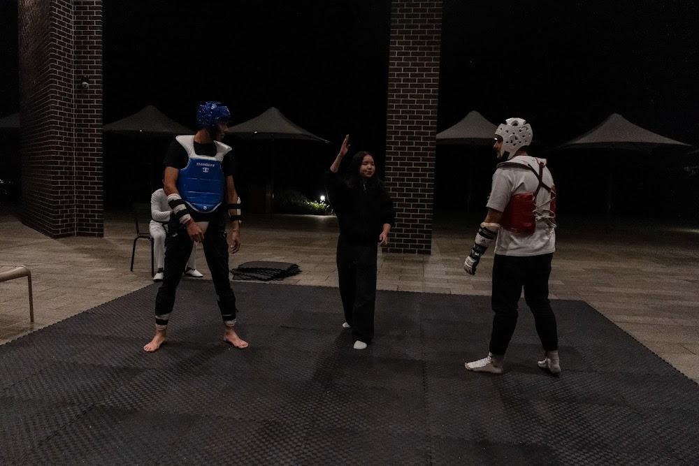 TDog Taekwondo competition G629
