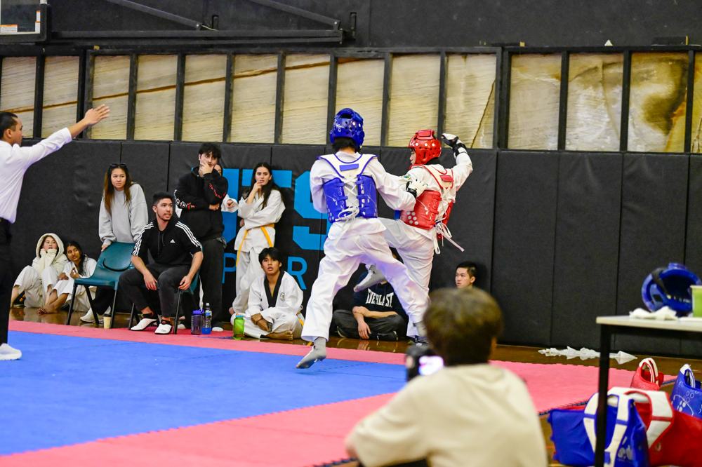 TDog Taekwondo competition G63