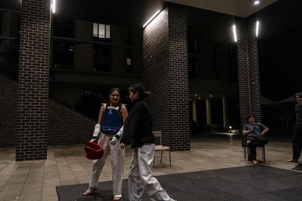 TDog Taekwondo training G630