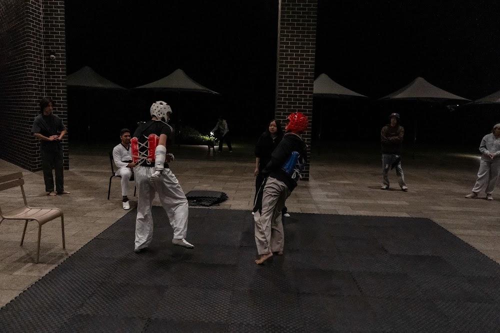 TDog Taekwondo competition G631
