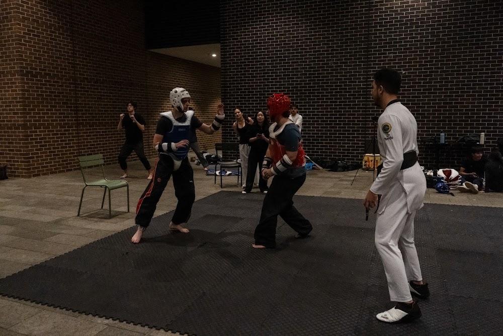 TDog Taekwondo training G632
