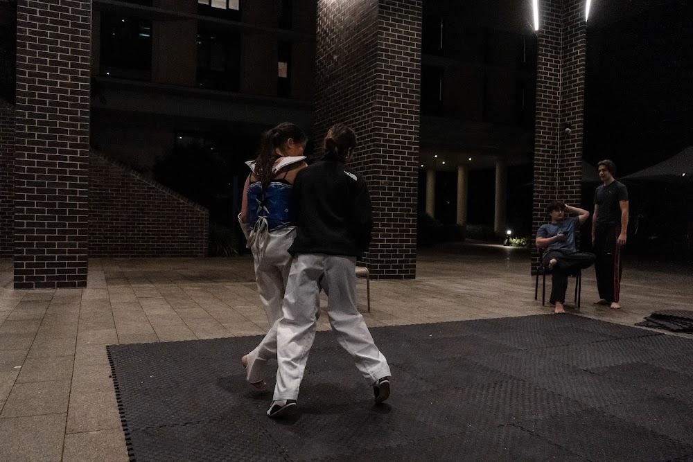 TDog Taekwondo training G633