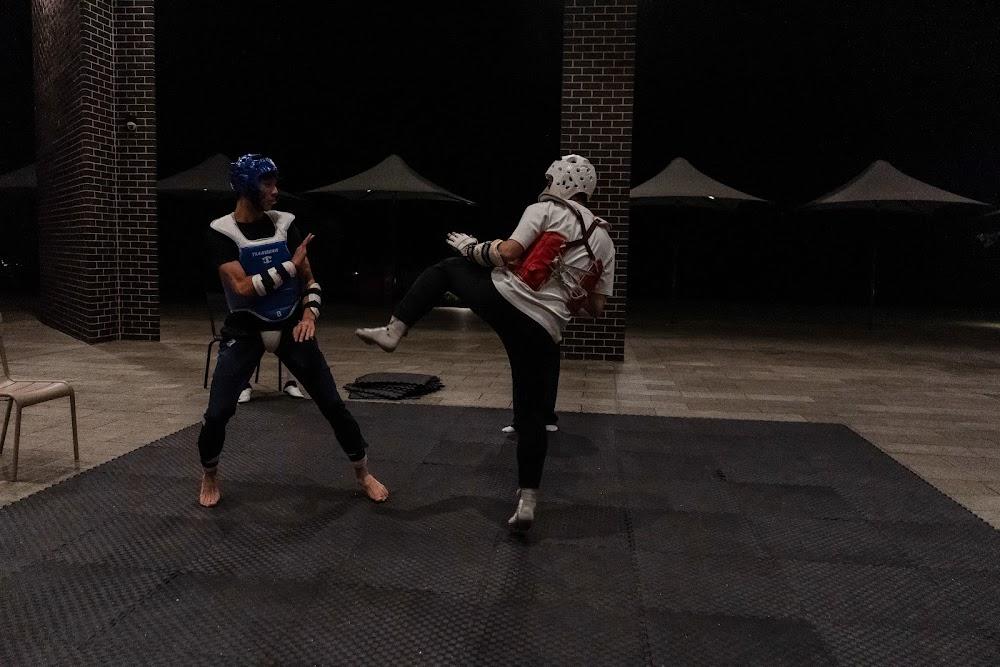 TDog Taekwondo competition G635