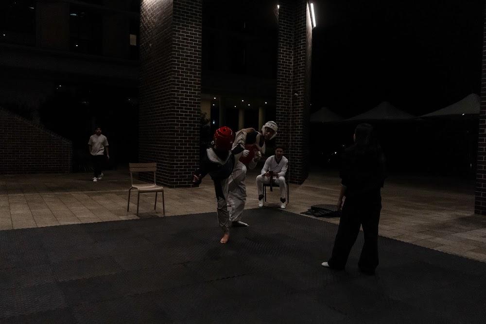 TDog Taekwondo competition G638