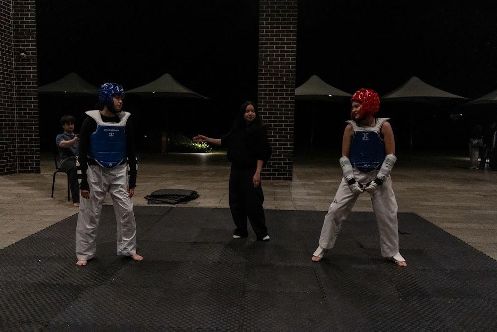 TDog Taekwondo competition G639