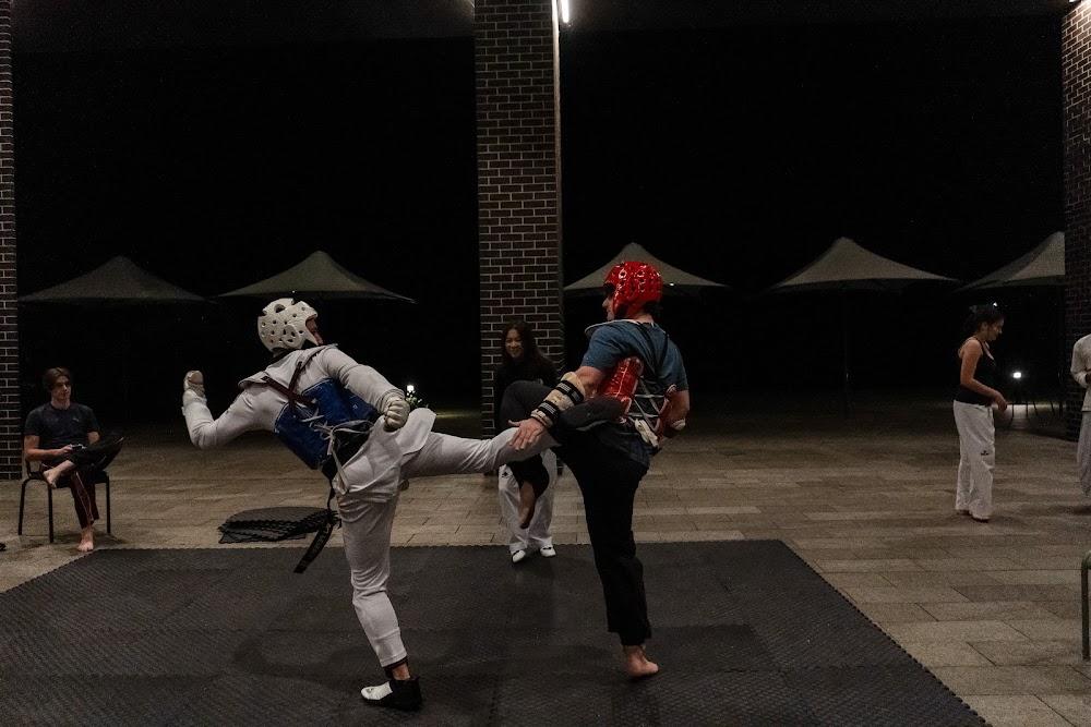 TDog Taekwondo competition G640