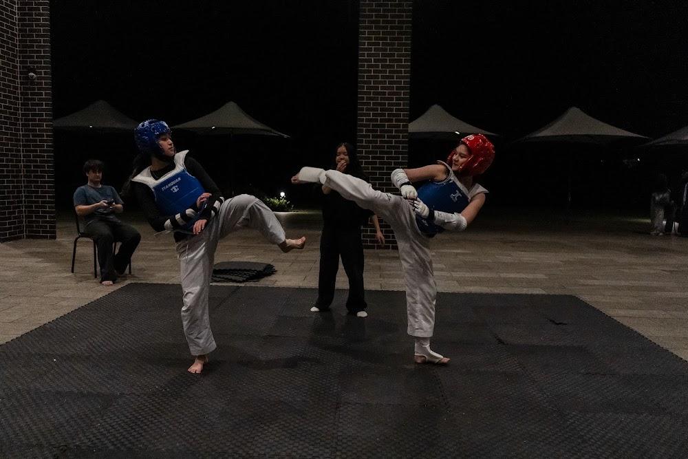 TDog Taekwondo competition G642