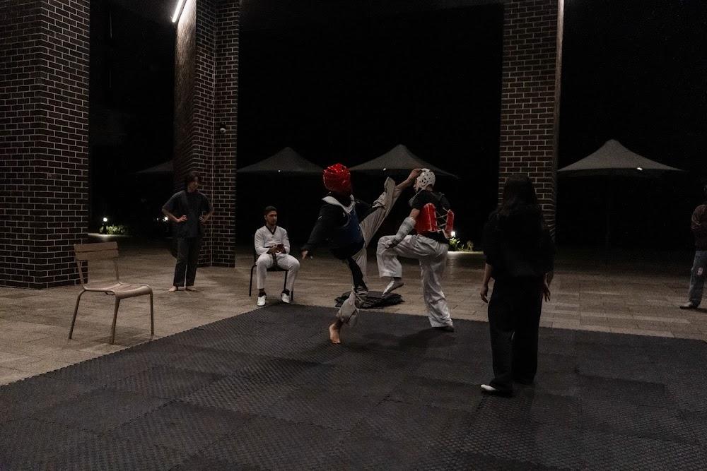 TDog Taekwondo competition G644