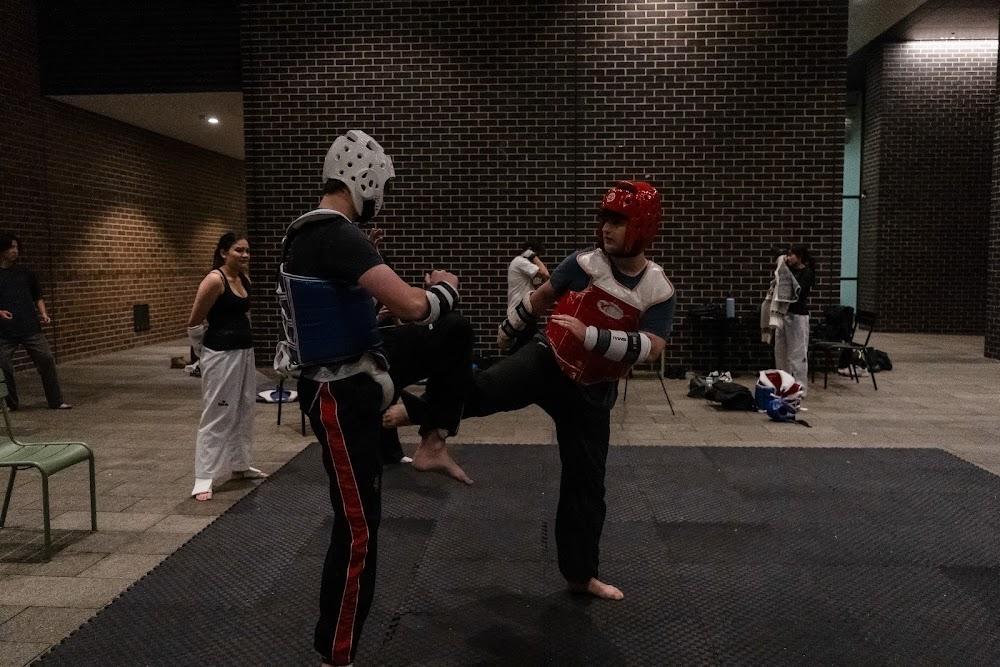 TDog Taekwondo competition G646