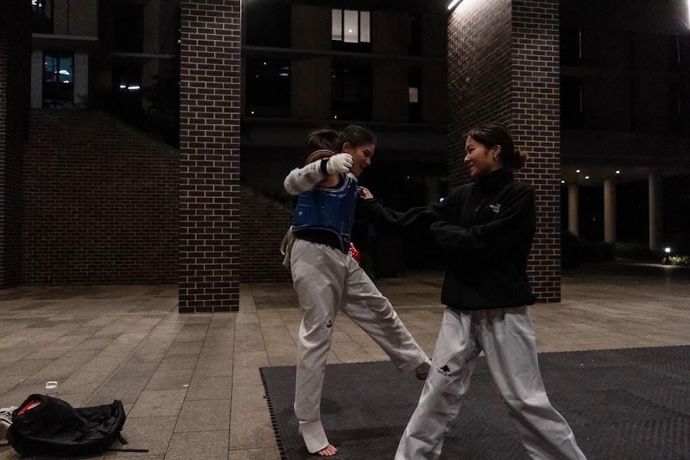 TDog Taekwondo training G647