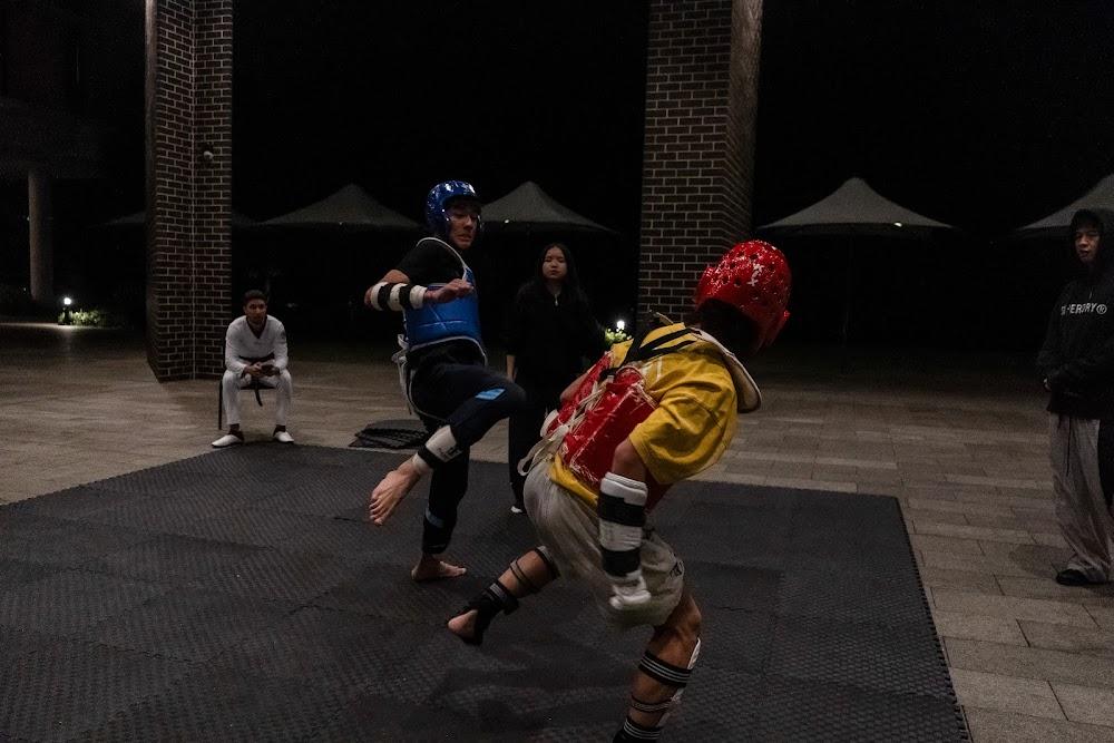 TDog Taekwondo competition G648