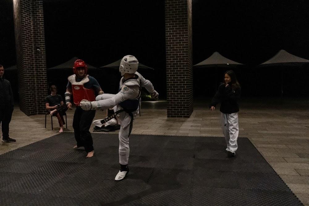 TDog Taekwondo competition G649