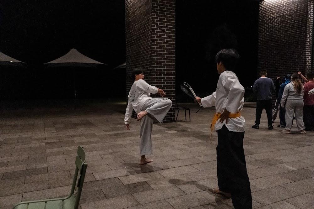 TDog Taekwondo training G650
