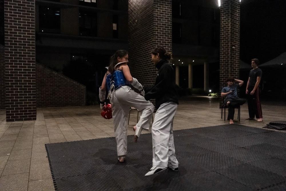 TDog Taekwondo competition G652