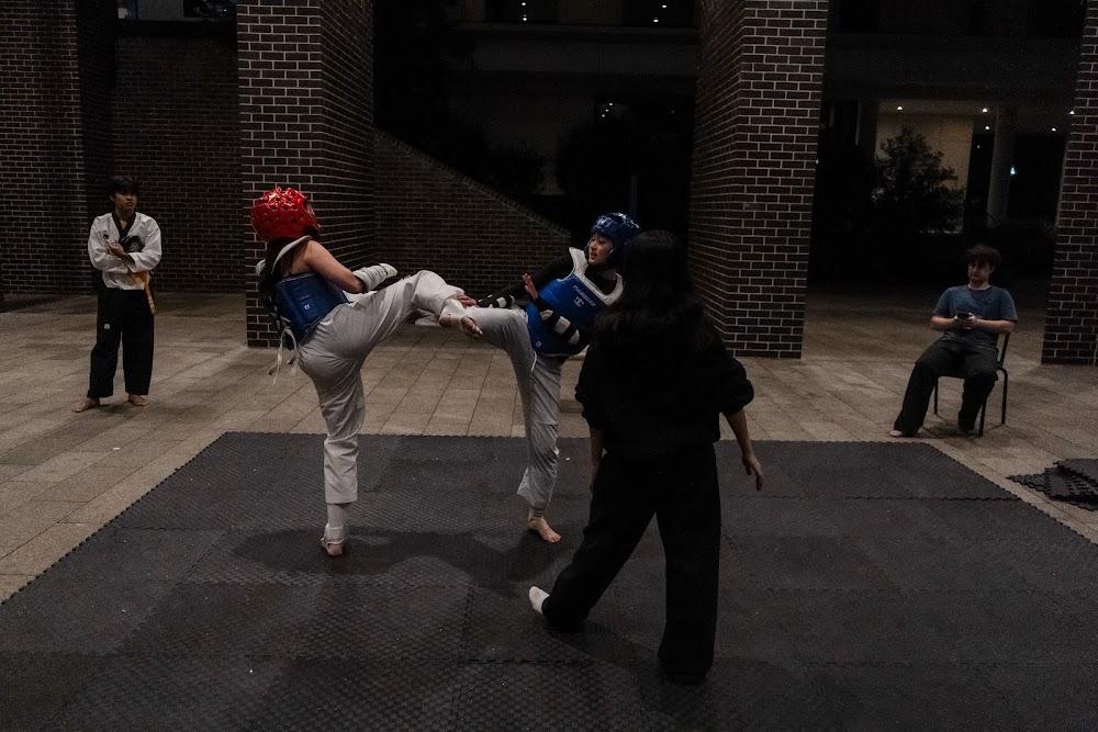 TDog Taekwondo competition G653