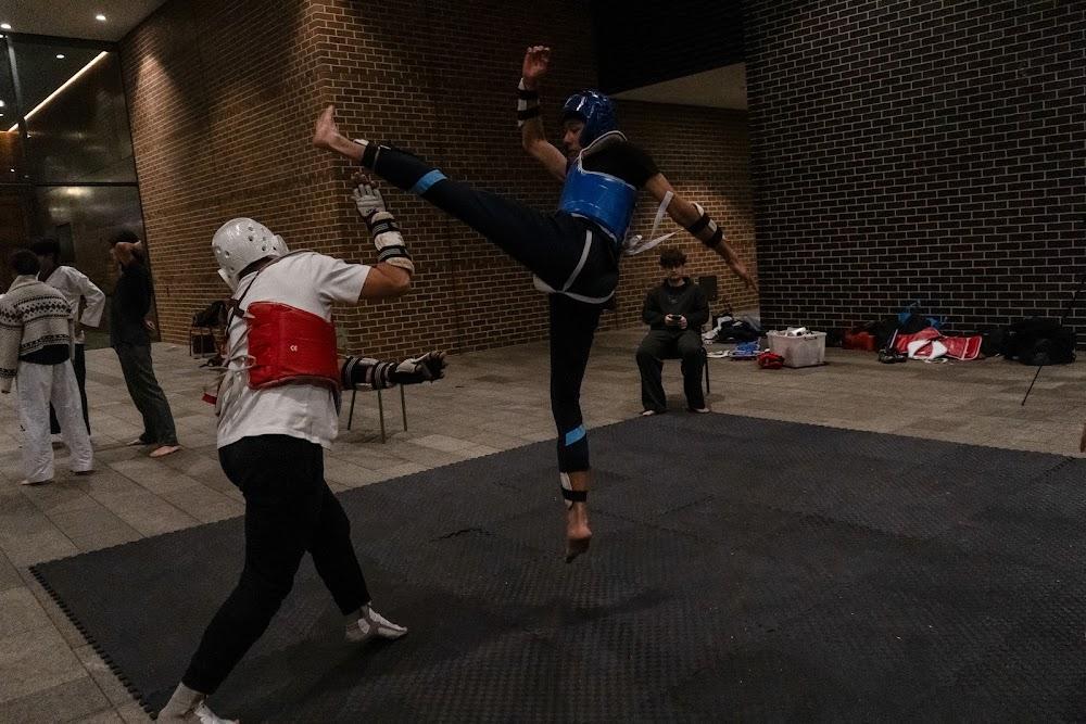 TDog Taekwondo competition G655
