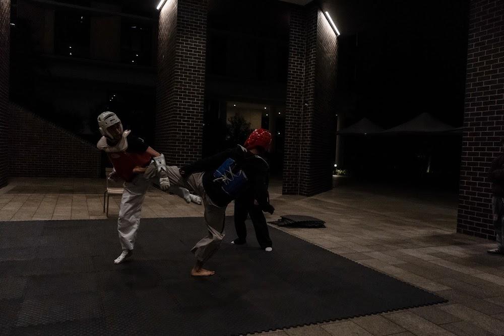TDog Taekwondo competition G656