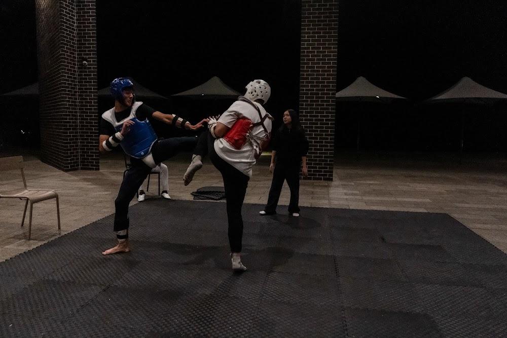 TDog Taekwondo competition G657