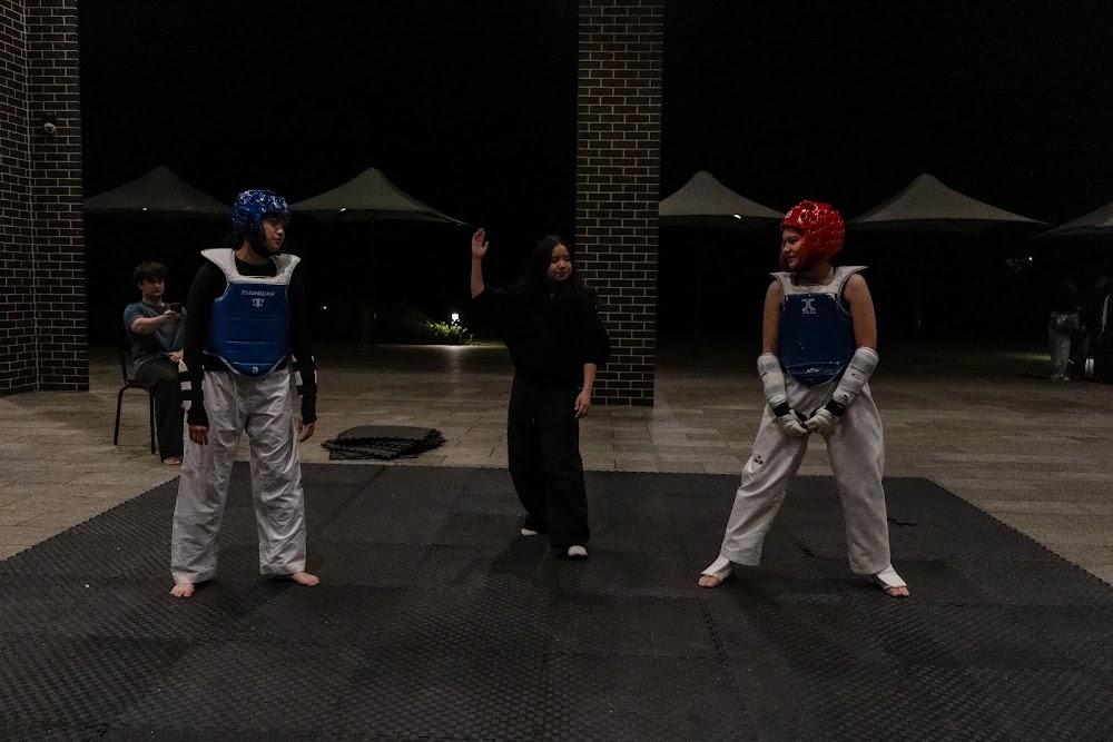 TDog Taekwondo competition G658