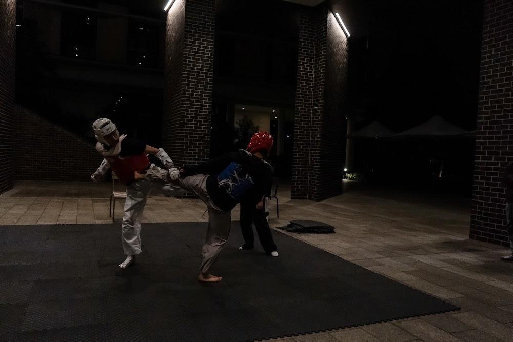 TDog Taekwondo competition G659