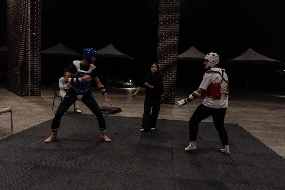 TDog Taekwondo competition G661