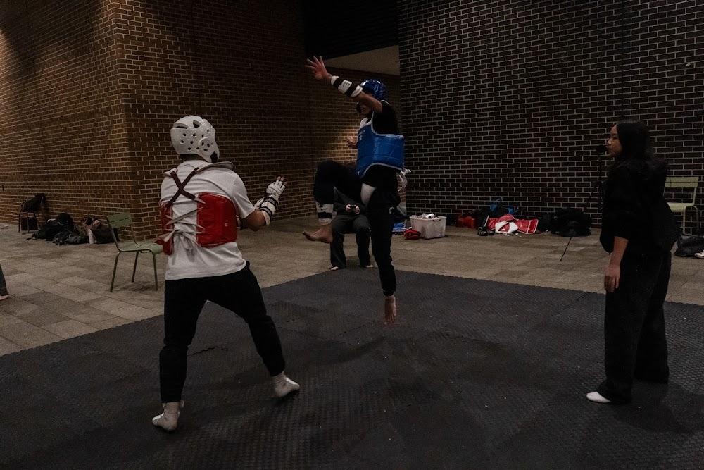 TDog Taekwondo competition G662