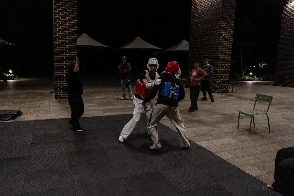 TDog Taekwondo competition G663