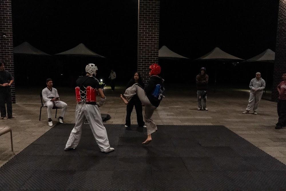 TDog Taekwondo competition G665