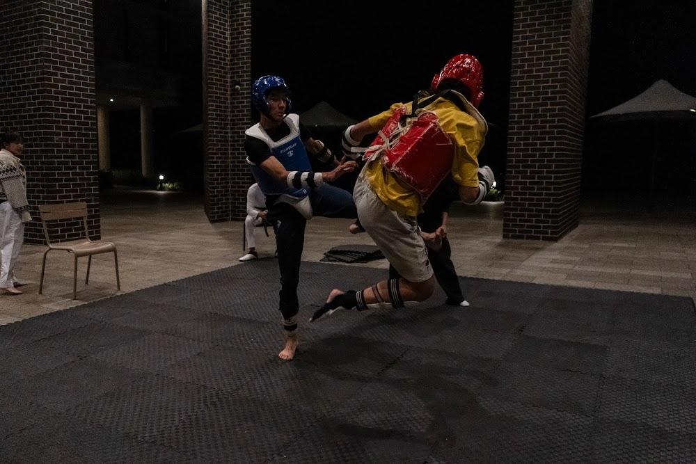 TDog Taekwondo competition G666