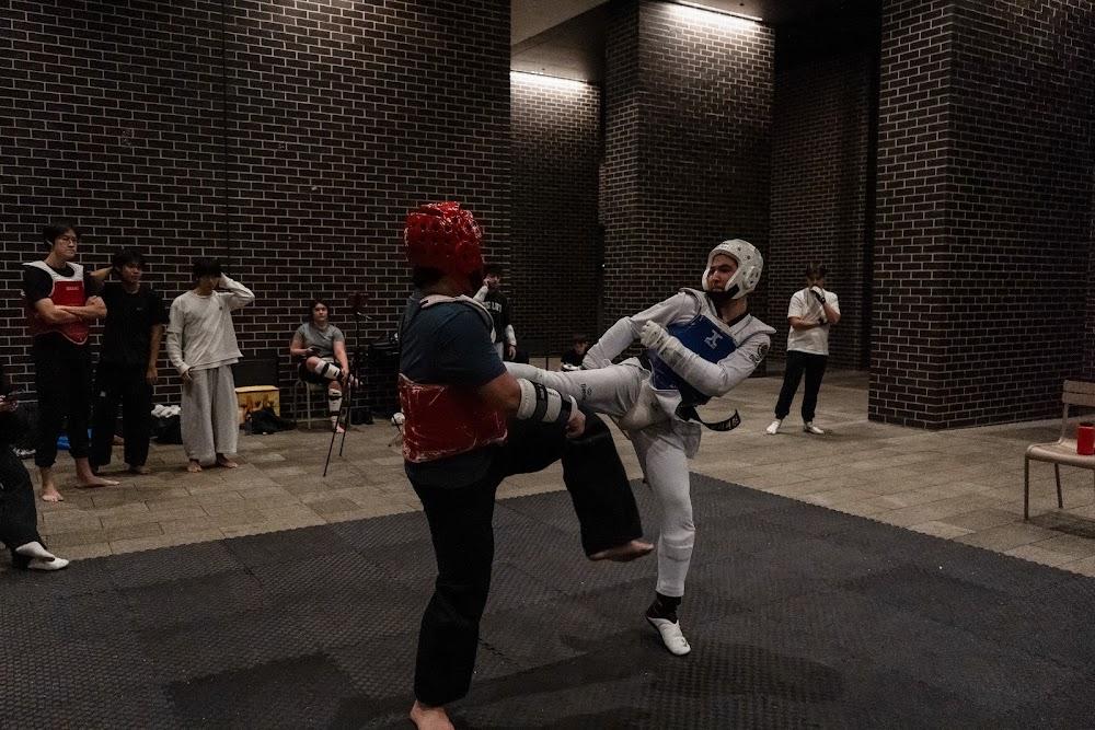 TDog Taekwondo competition G667
